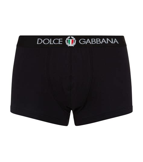 dolce gabbana underwear shirt|dolce and gabbana men's briefs.